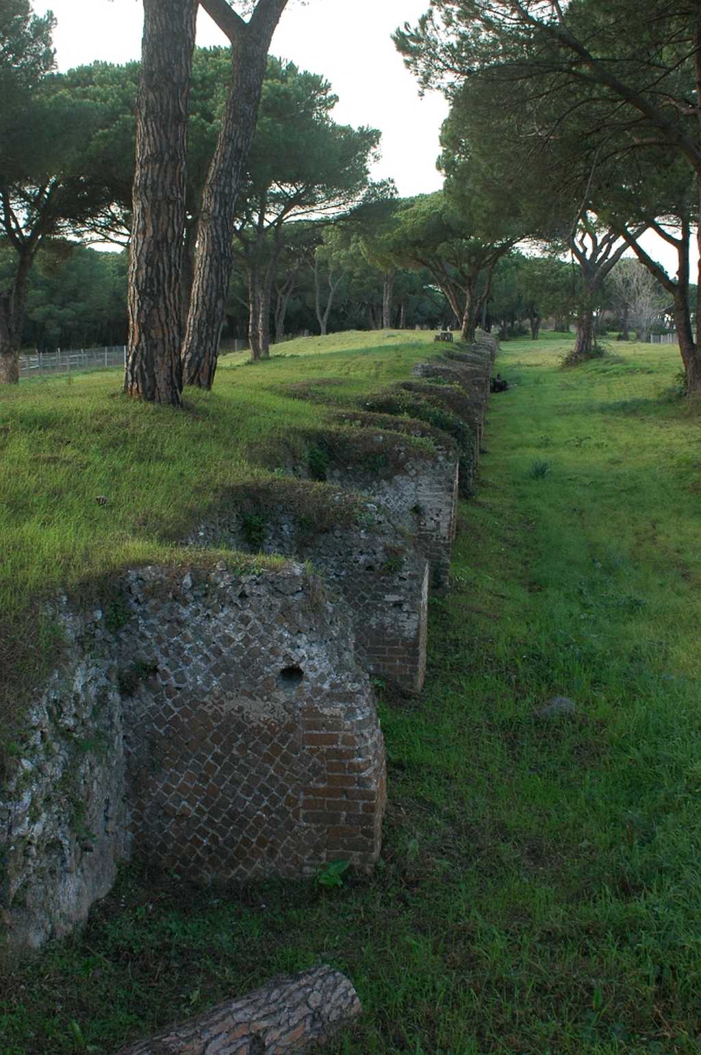 I segreti archeologici di Procoio